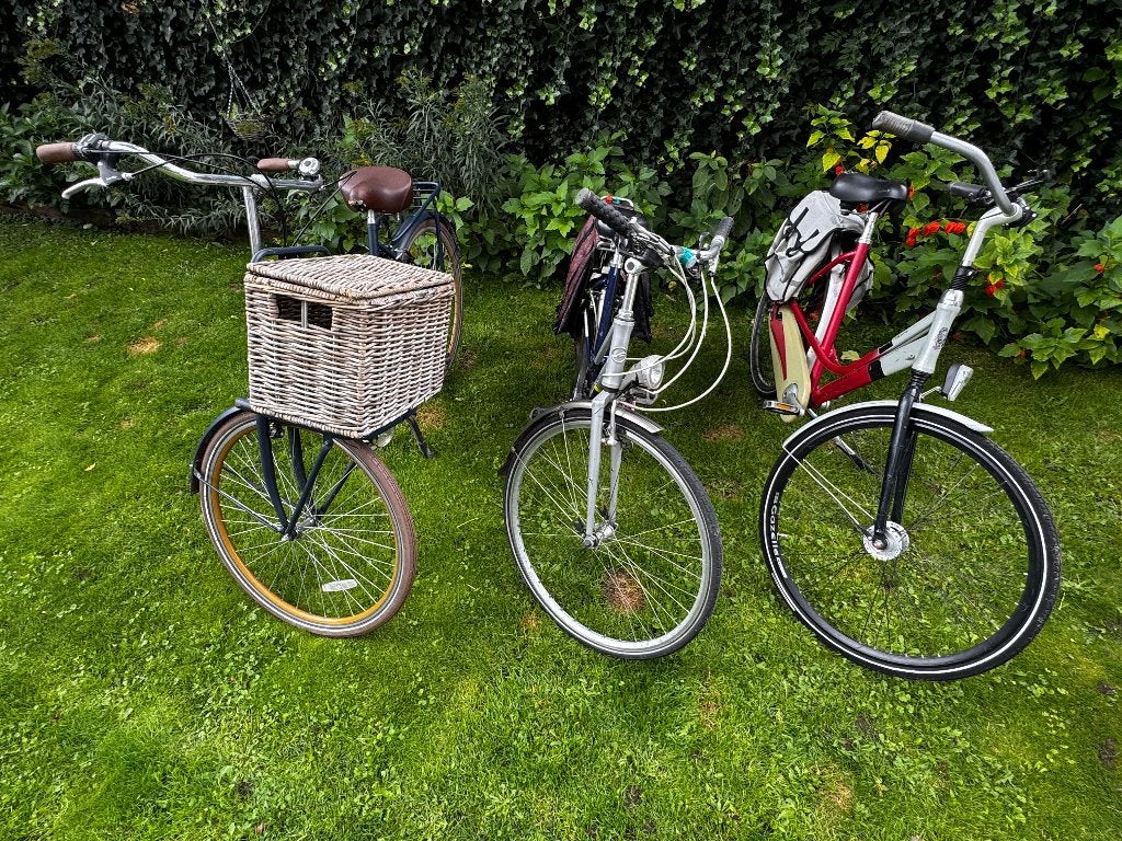 Damesfietsen met mand en versnellingen, Fietsen en Brommers, Velgrem, Versnellingen, Ophalen, Overige merken