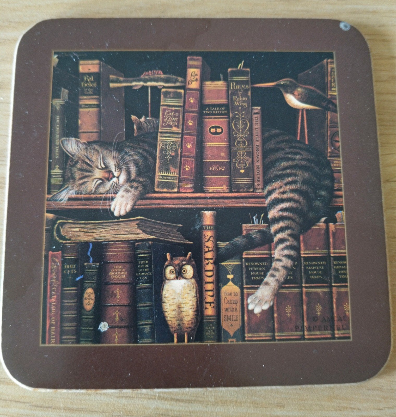 1 Onderzetter Poes slaapt tussen de boeken in de boekenkast, Verzenden, Zo goed als nieuw, Glas of Kopje