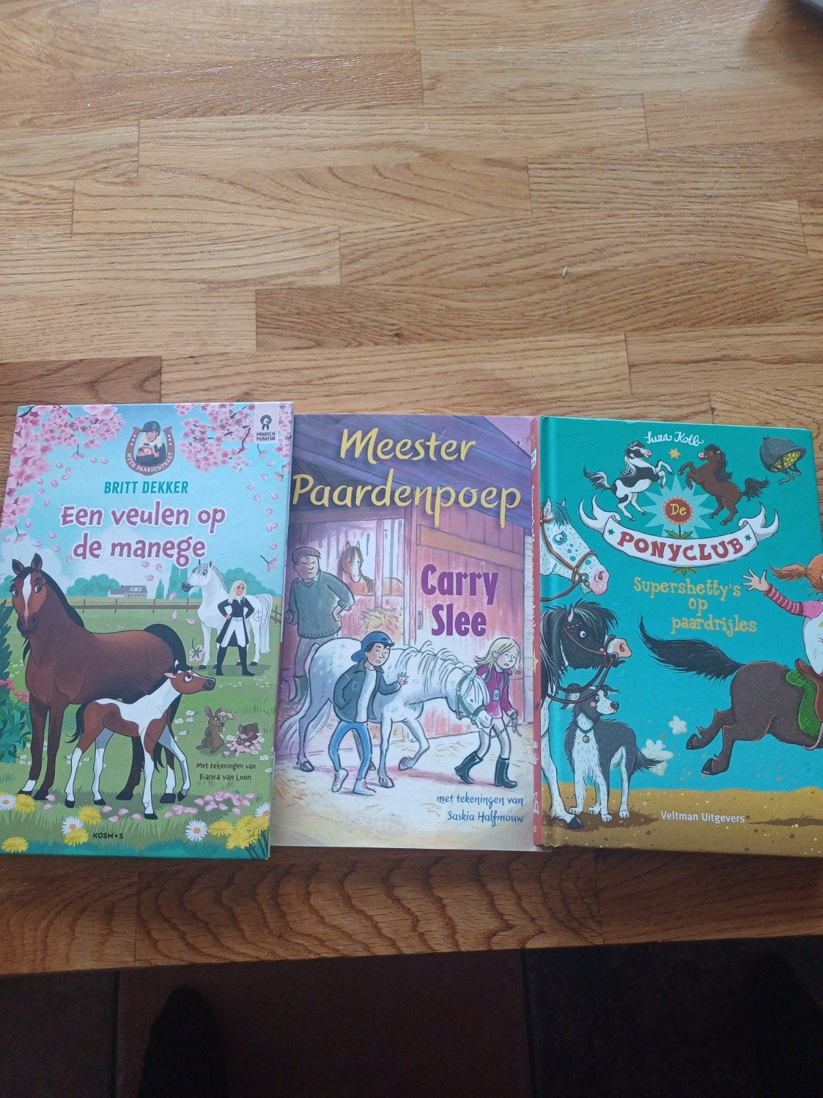 te koop leuke paarden lees boeken, Ophalen of Verzenden, Zo goed als nieuw