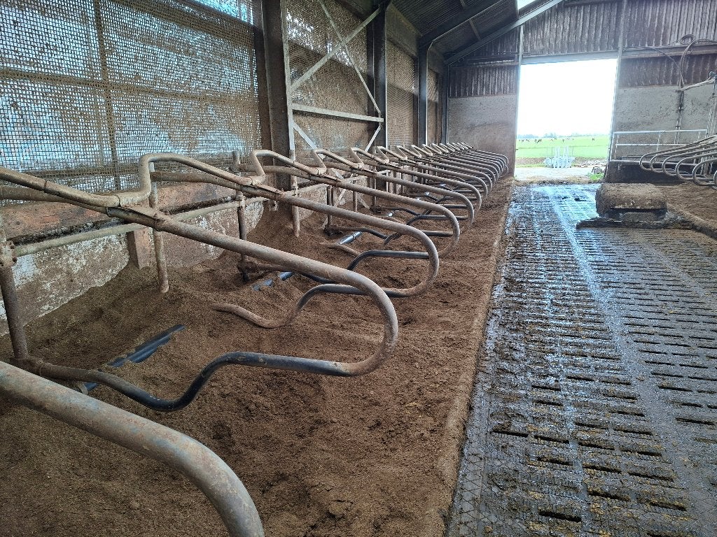 Zwevende ligboxafscheidingen(Spinder) en knieboom, Dieren en Toebehoren, Geslacht onbekend