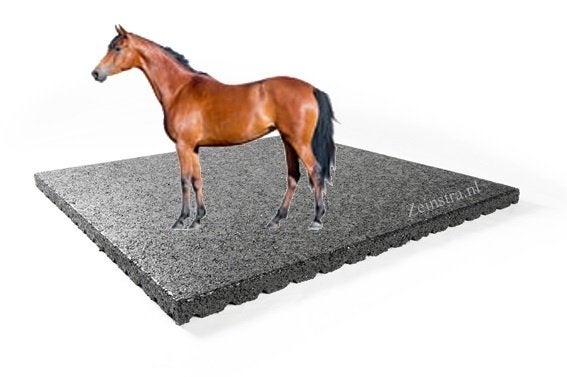 Paardenbox staltegel rubbermat 100 x 100 paard pony ezel, Verzenden, Nieuw