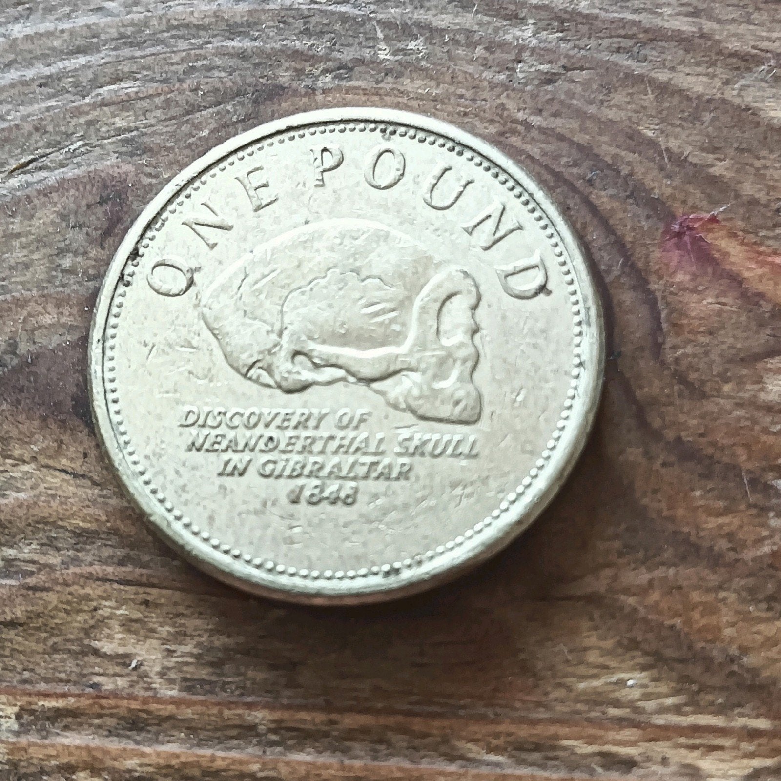 Gibraltar one pound 2012 discovery of neanderthal skull in G, Postzegels en Munten, Munten | Europa | Niet-Euromunten, Ophalen of Verzenden