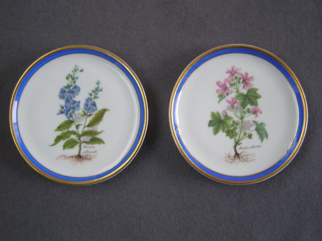 2 schoteltjes : malva silvestris / veronica offisinalis, Ophalen, Zo goed als nieuw
