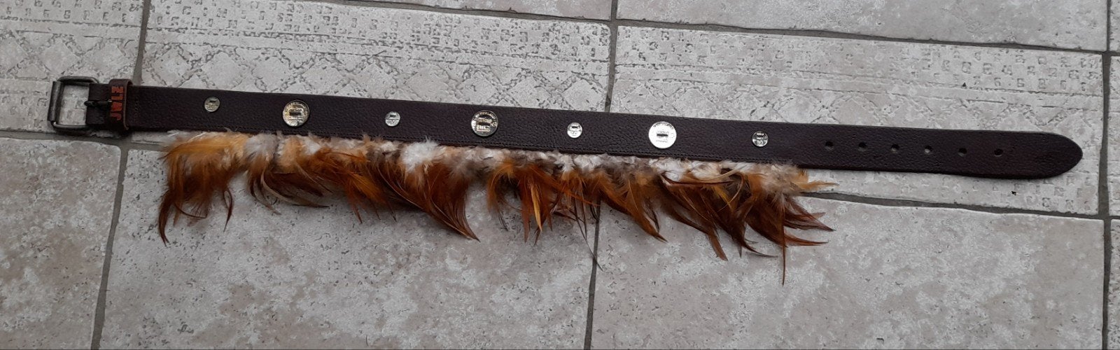 JWLZ Leren Riem met Veren en Muntjes - 97cm, Kleding | Dames, Riemen en Ceinturen, Echt leder, 90 tot 100 cm, Ophalen of Verzenden