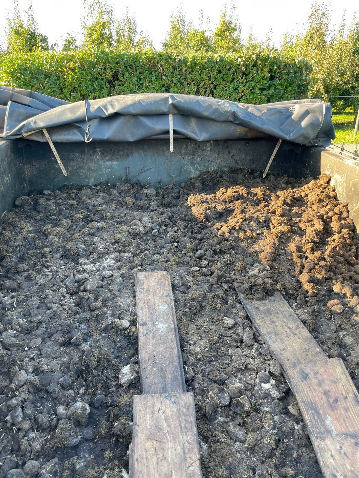 Gratis af te halen. Verse paardenmest - Ideaal voor uw tuin!, Ophalen, Mest