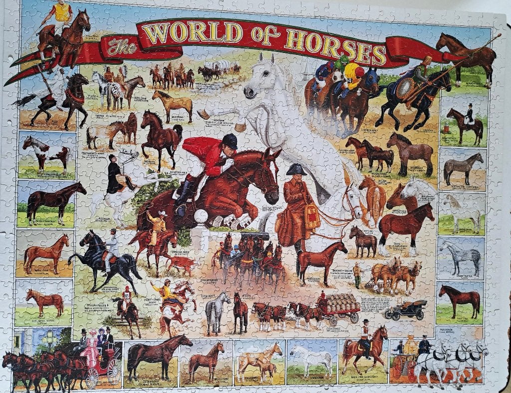 Puzzel World of Horses 1000 stukjes, Ophalen of Verzenden, 500 t/m 1500 stukjes, Zo goed als nieuw, Legpuzzel