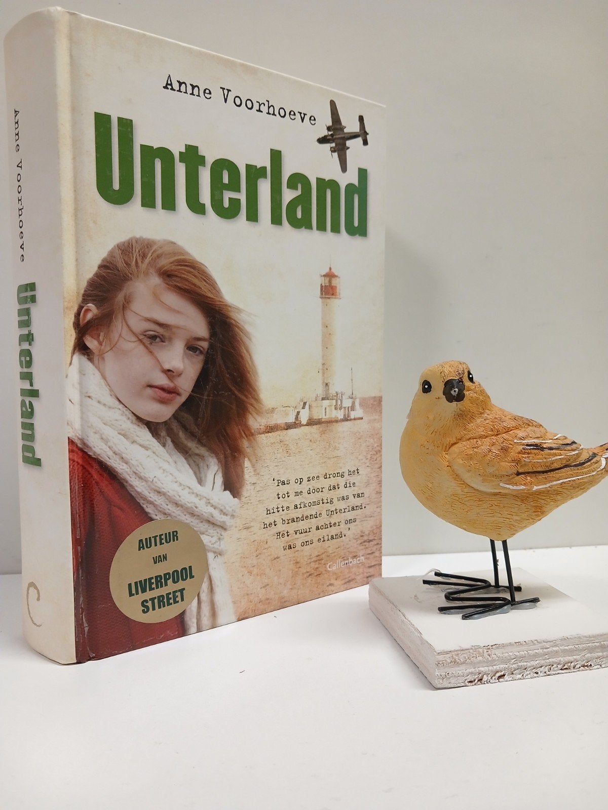 Voorhoeve, Anne; Unterland, Ophalen of Verzenden, Gelezen