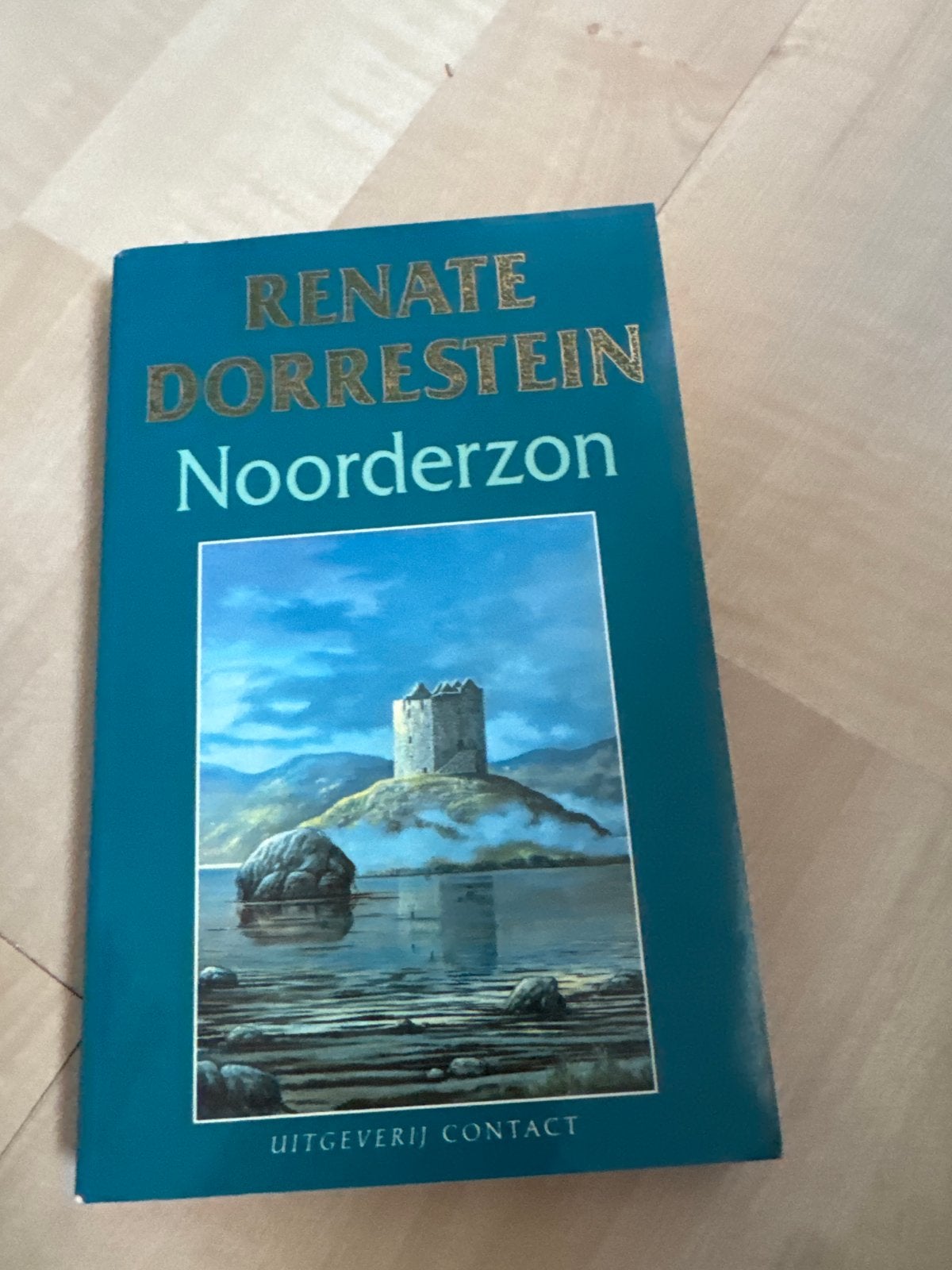 Renate Dorrestein - Noorderzon (roman), Ophalen of Verzenden, Gelezen