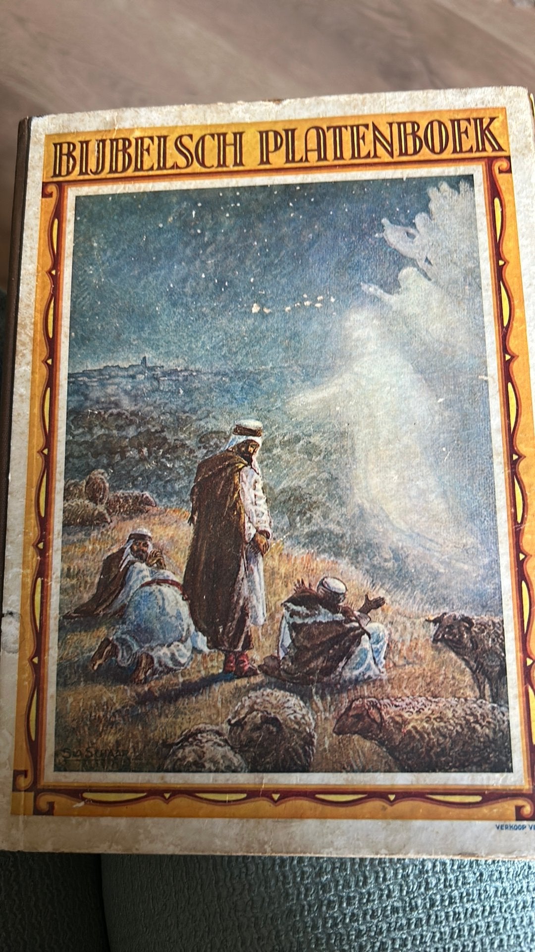 Bijbelsch platenboek, Boeken, Ophalen of Verzenden