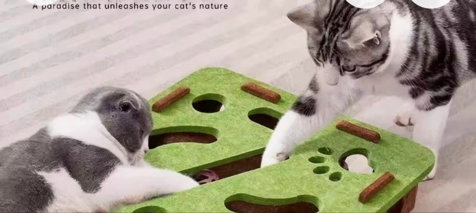 Katten speelgoed met balletjes, Ophalen