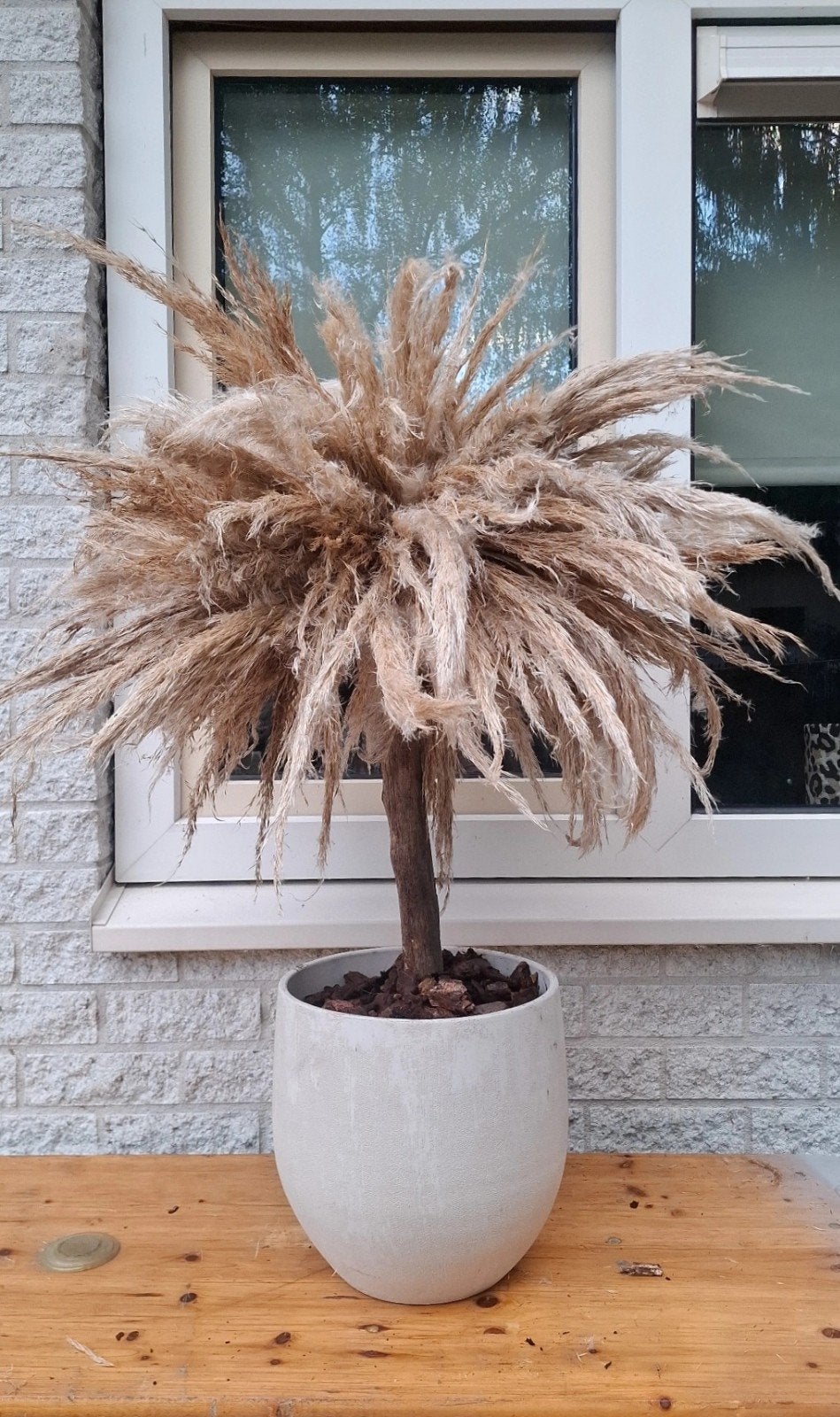 Pampas boompje incl pot, Binnen, Natuurlijk materiaal, Handgemaakt, Kunstplant