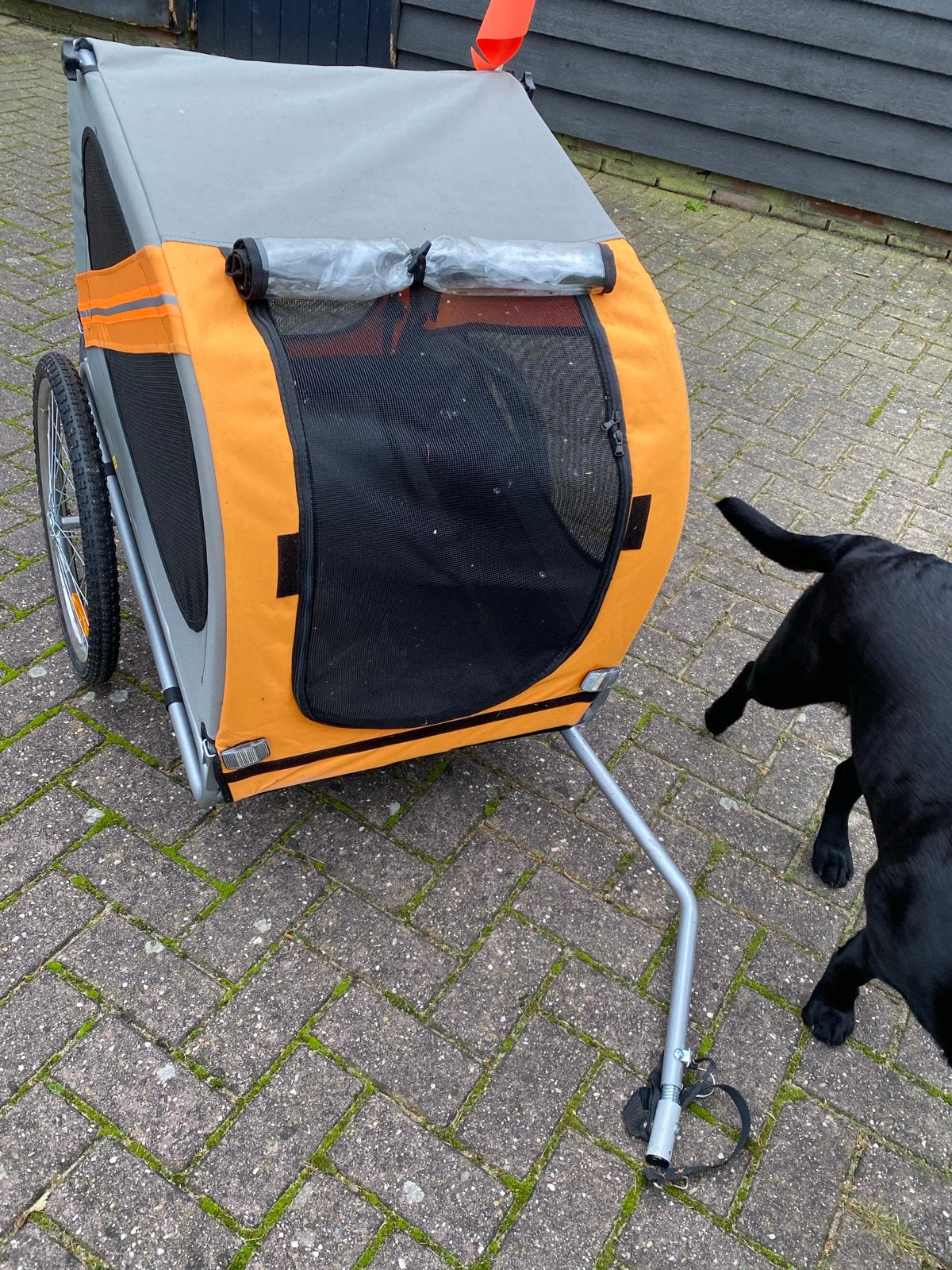 Honden fietskar, Dieren en Toebehoren, Ophalen, Zo goed als nieuw