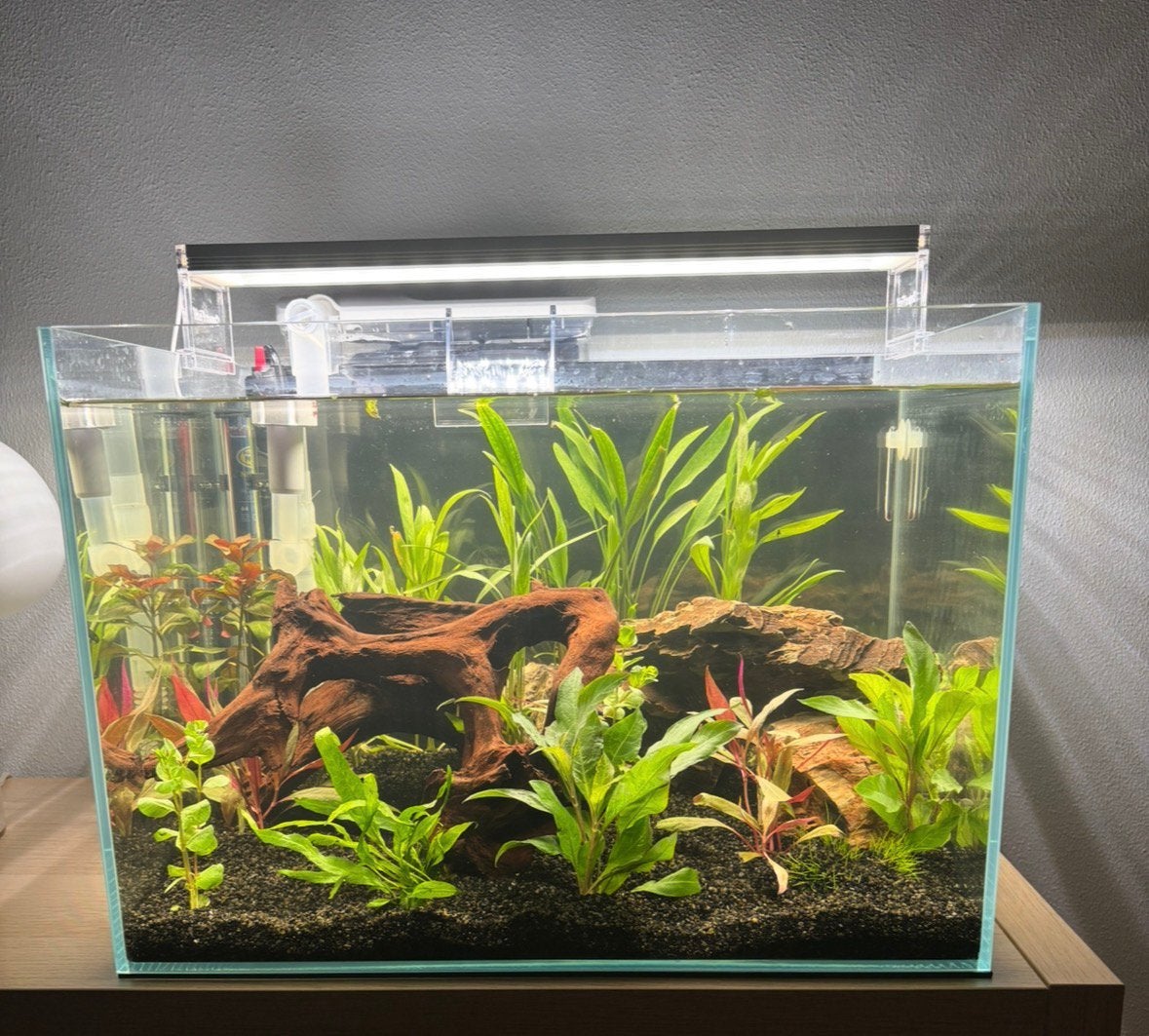 Superfish Scaper 45 - Aquaria - 45x32x32 cm 45 l Transparant, Dieren en Toebehoren, Ophalen, Zo goed als nieuw, Leeg aquarium