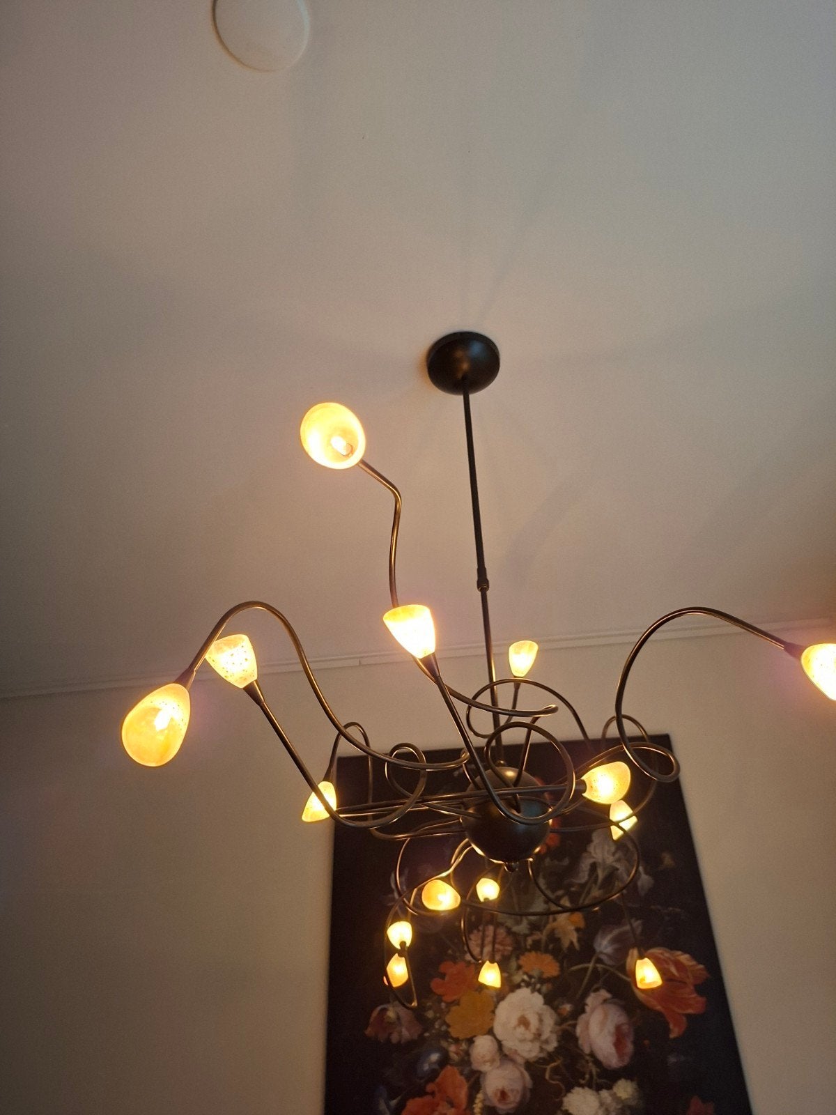 Foto 6 van Design hanglamp met 12 lichtpunten en glazen kappen