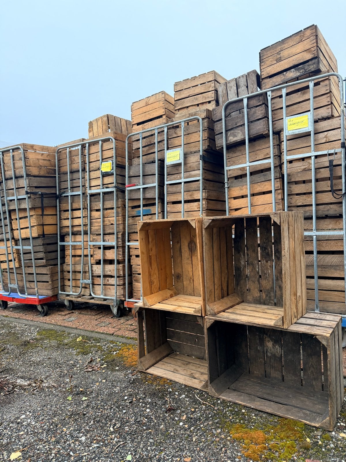 69 stuks Houten veilingkisten - fruitkisten, Ophalen, Gebruikt, Minder dan 50 cm