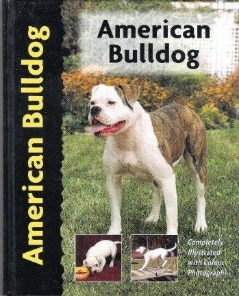 American Bulldog, Ophalen of Verzenden, Zo goed als nieuw, Honden