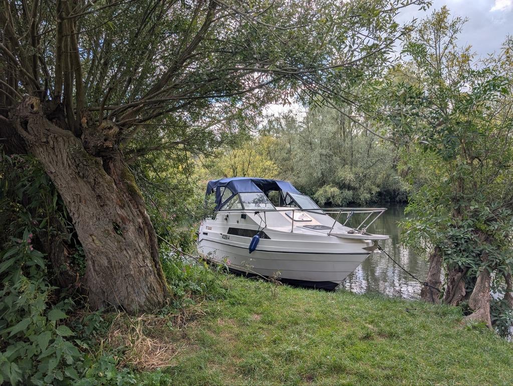 Motorjacht te huur in de Biesbosch - Vaarbewijs niet nodig!, Watersport en Boten, Ophalen of Verzenden