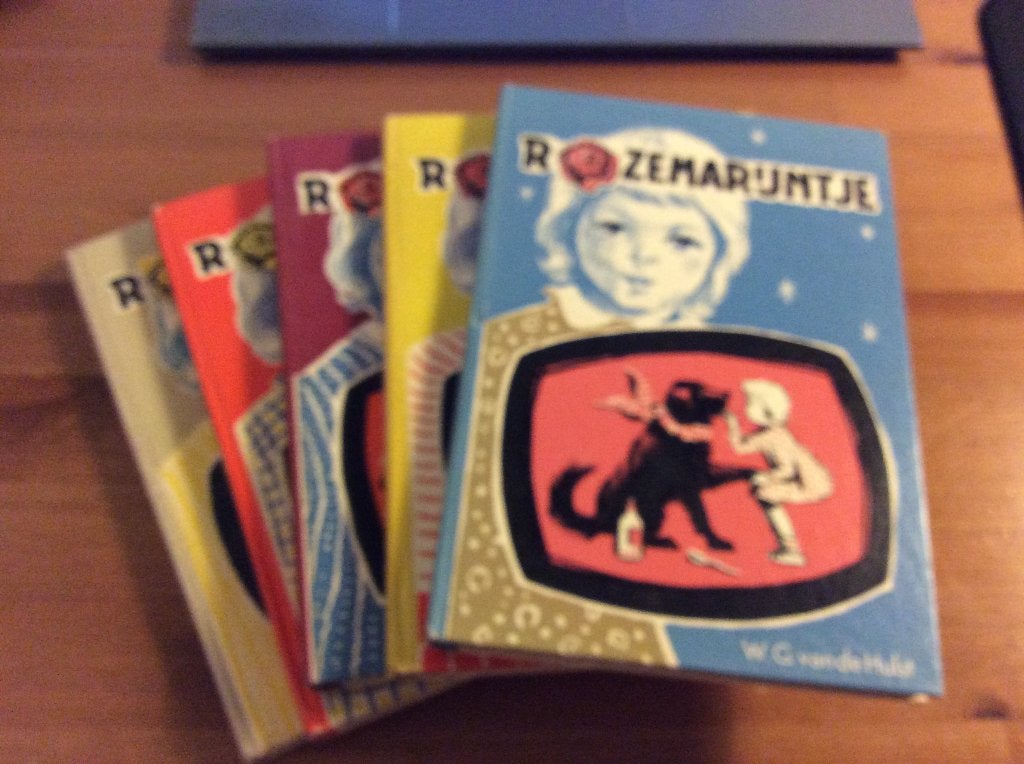 Set boeken, Rozemarijntje serie. W.G. van der Hulst, Ophalen of Verzenden, Gelezen, W.G  van de Hulst, Fictie algemeen