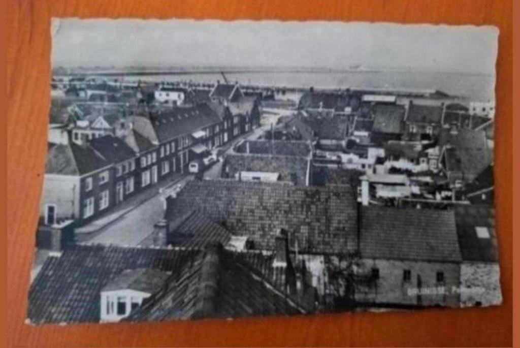 Ansichtkaart panorama Bruinisse. Gelopen, Ophalen of Verzenden, 1980 tot heden
