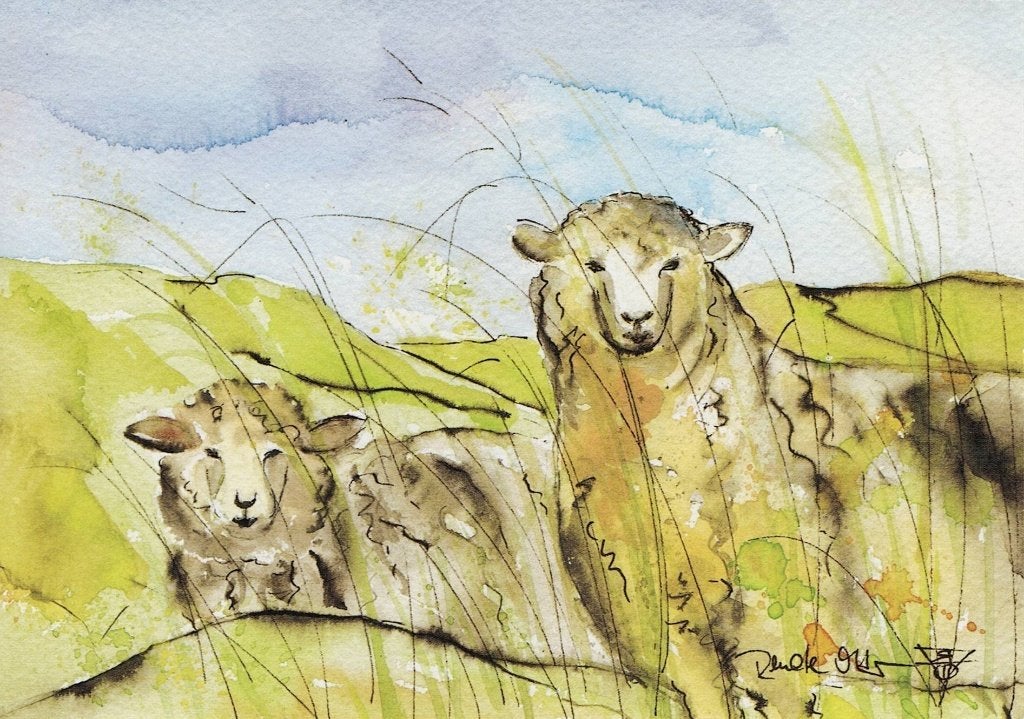 2 geschilderde schapen 247, Verzenden, 1980 tot heden, Gelopen
