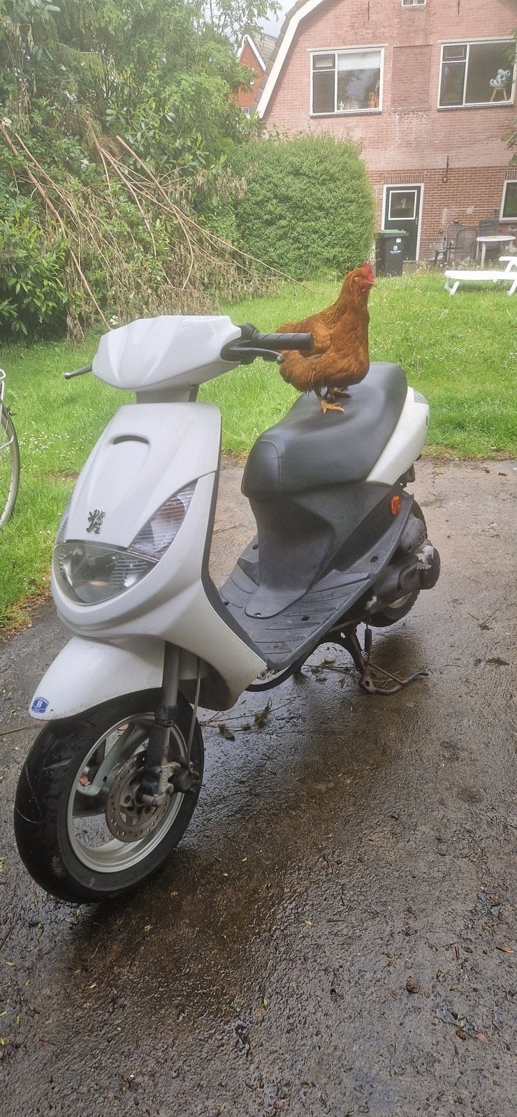 Opzoek!!! Stunt scooter 70/125cc zonder 123, Ophalen of Verzenden, Zo goed als nieuw