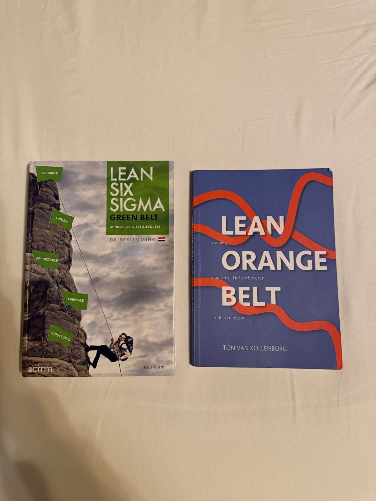 Lean Six Sigma Green Belt & Lean Orange Belt Boeken, Ophalen of Verzenden, Gamma, Zo goed als nieuw, HBO