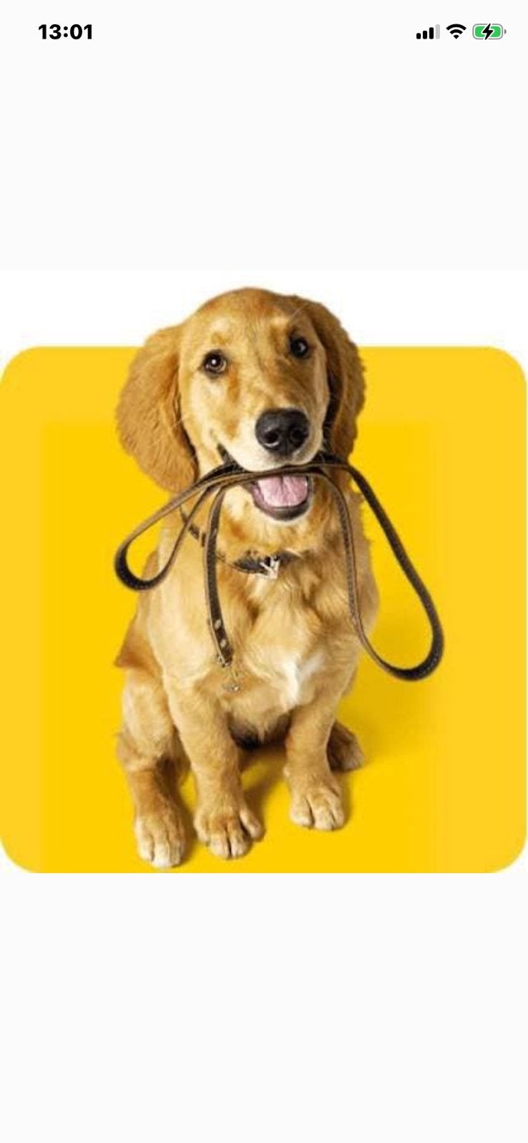 Aangeboden, Betrouwbare Honden uitlaastster, Ophalen of Verzenden