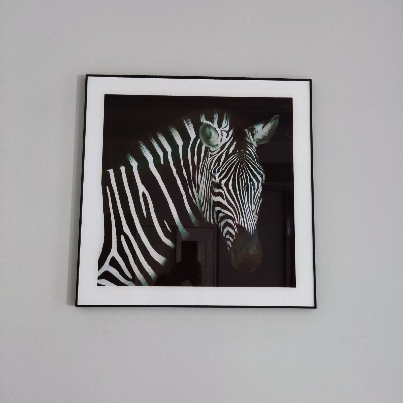 Zebra schilderij op glasplaat, Ophalen, 50 – 75, Zo goed als nieuw, Schilderij