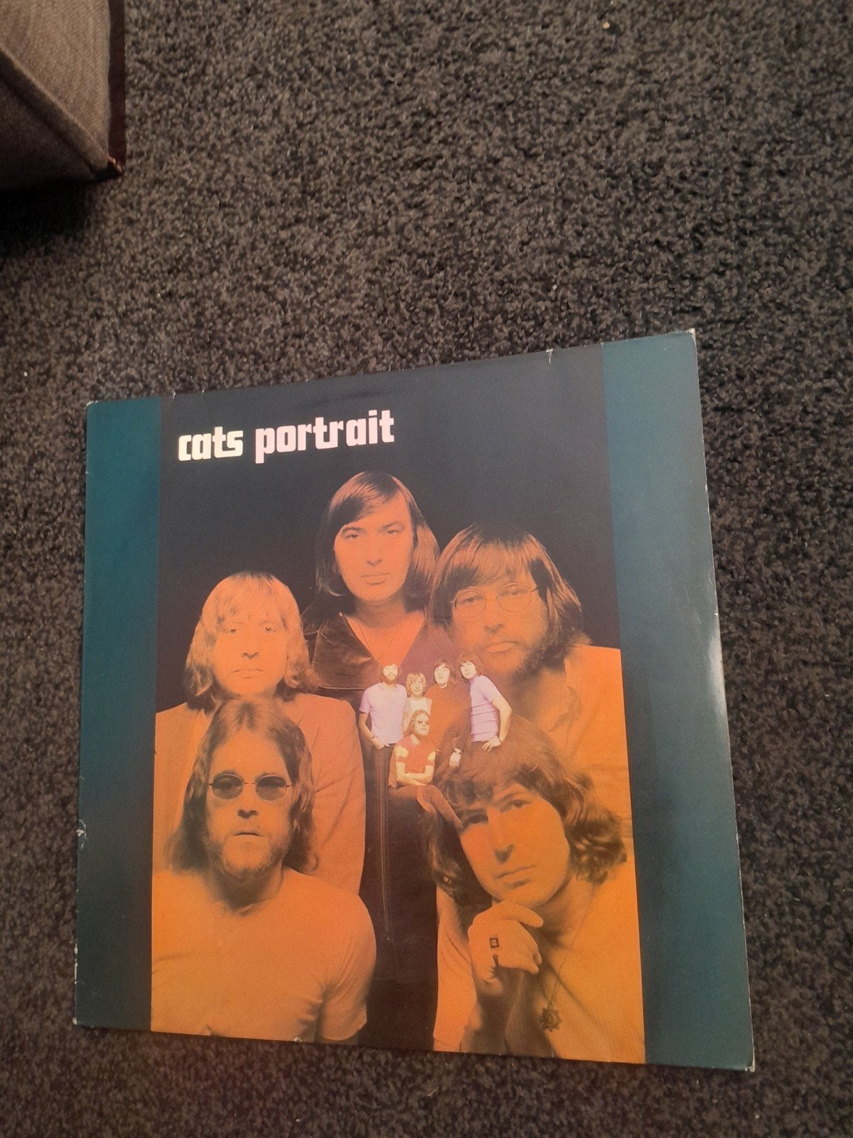 Cats Portrait, Ophalen of Verzenden, LP