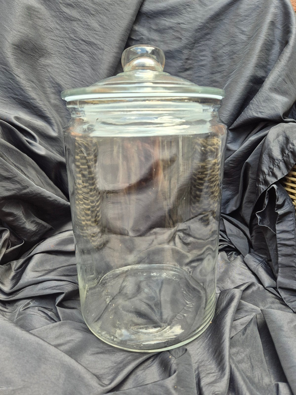 Grote glazen stolp / voorraadpot met deksel, Ophalen of Verzenden