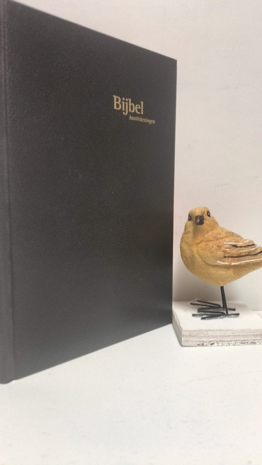 Bijbel,  GBS met kanttekeningen, Boeken, Godsdienst en Theologie, Ophalen of Verzenden, Gelezen, Christendom | Protestants
