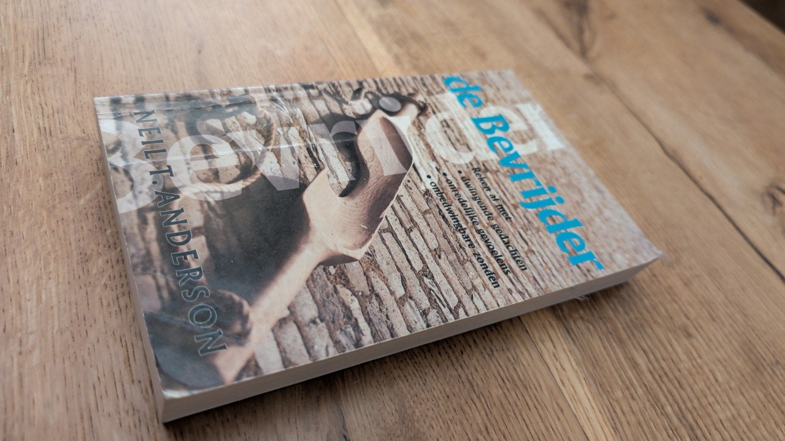 De Bevrijder - Neil T. Anderson (Christelijk boek), Boeken, Gelezen, Achtergrond en Informatie, Spiritualiteit algemeen, Ophalen of Verzenden