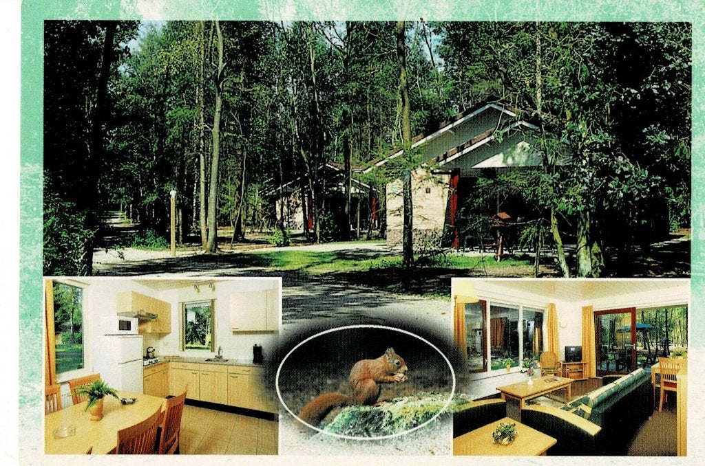 Garderen, Bok's Bungalowpark, Ophalen of Verzenden, Gelopen, Gelderland