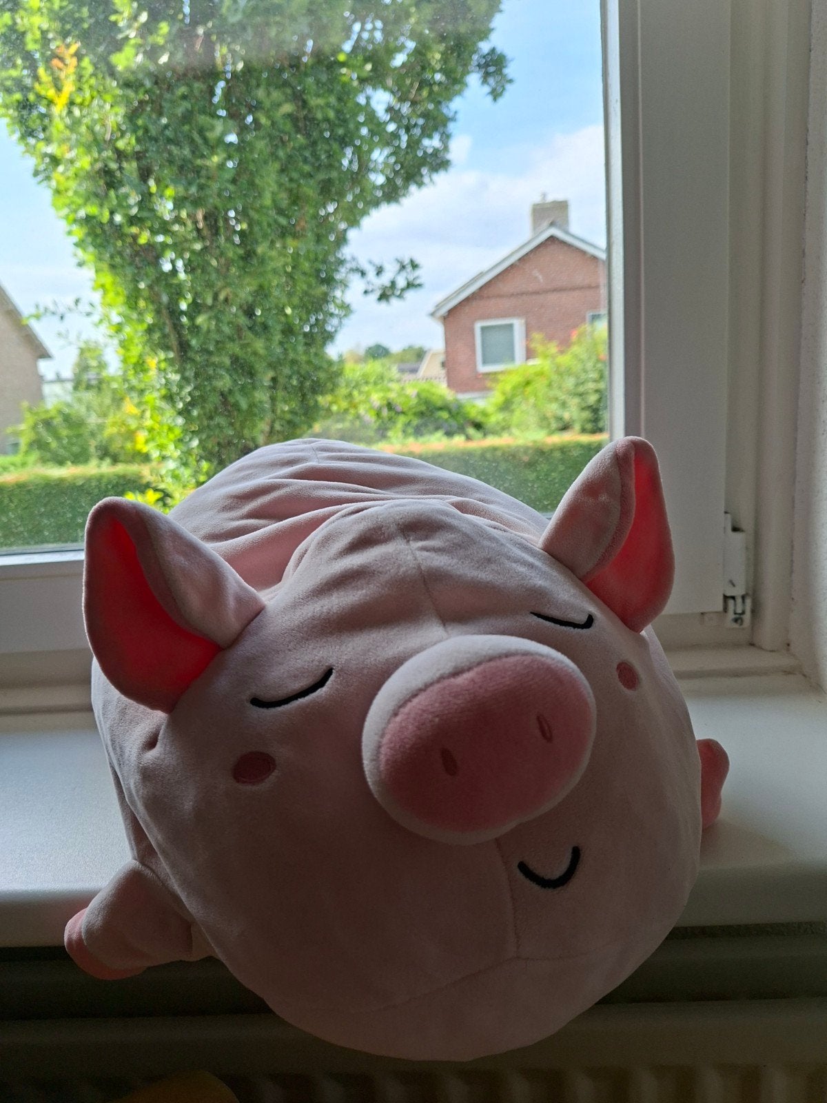Hema Varken Knuffel - Zachte Roze Knuffel, Ophalen, Hema, Overige typen, Nieuw
