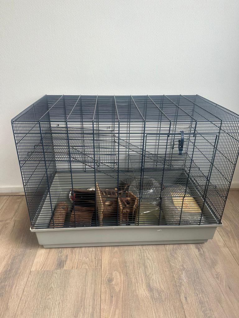 Grote hamsterkooi, Dieren en Toebehoren, Knaagdieren en Konijnen | Hokken en Kooien, Ophalen