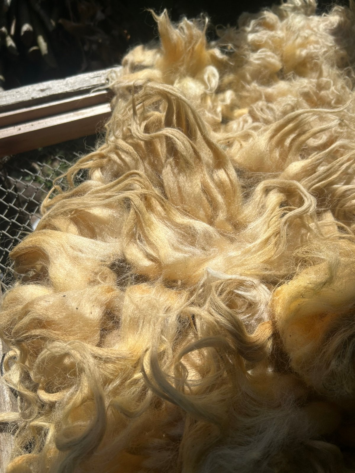 Lossige Racka vacht, ongewassen, Ophalen of Verzenden, Gebruikt, Kunst en Creatief
