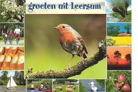 Ansichtkaart	Leersum	Roodborstje	12-luik, Verzenden, 1980 tot heden, Gelopen, Utrecht