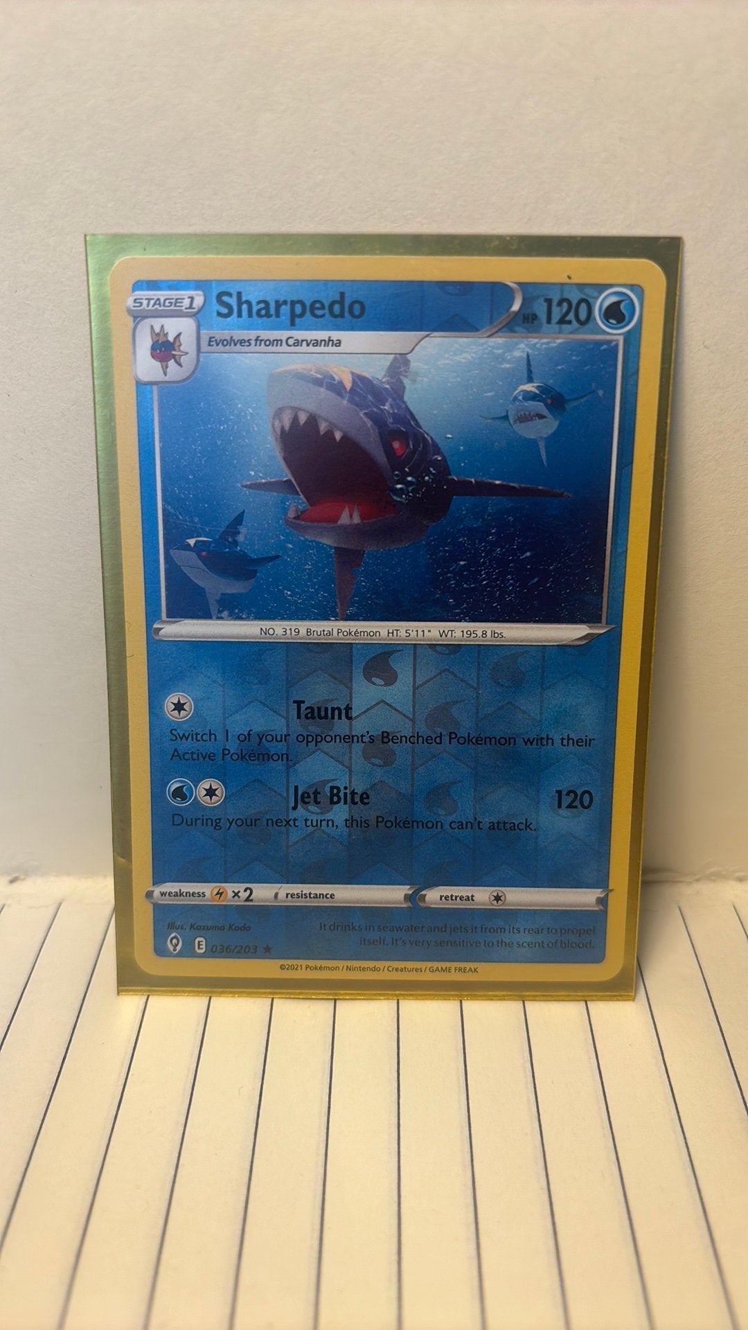 Sharpedo 036/203 evolving skies reverse holo pokemon kaart, Ophalen of Verzenden, Nieuw