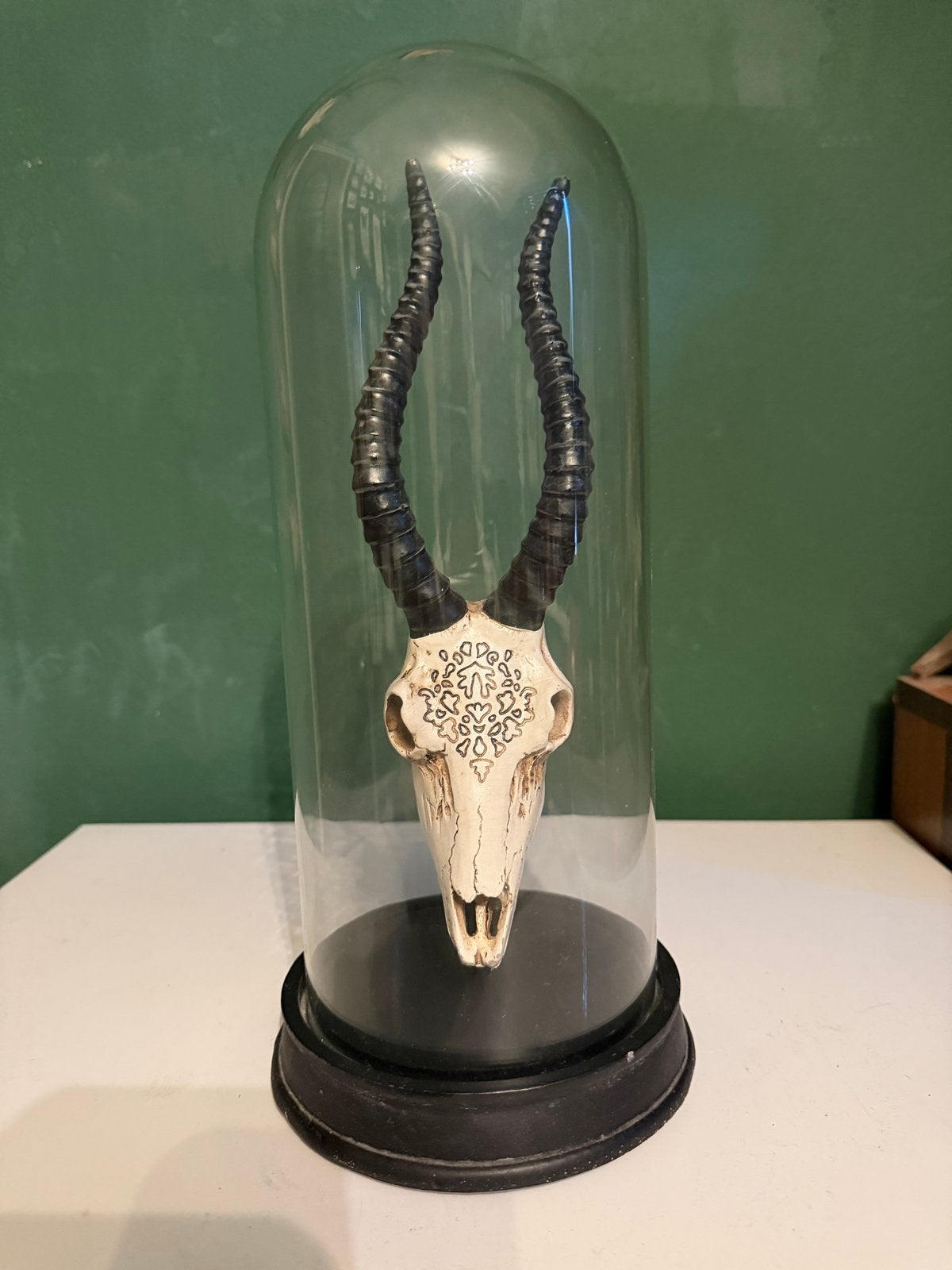 Decoratieve schedel in glazen stolp, Antiek en Kunst, Ophalen of Verzenden