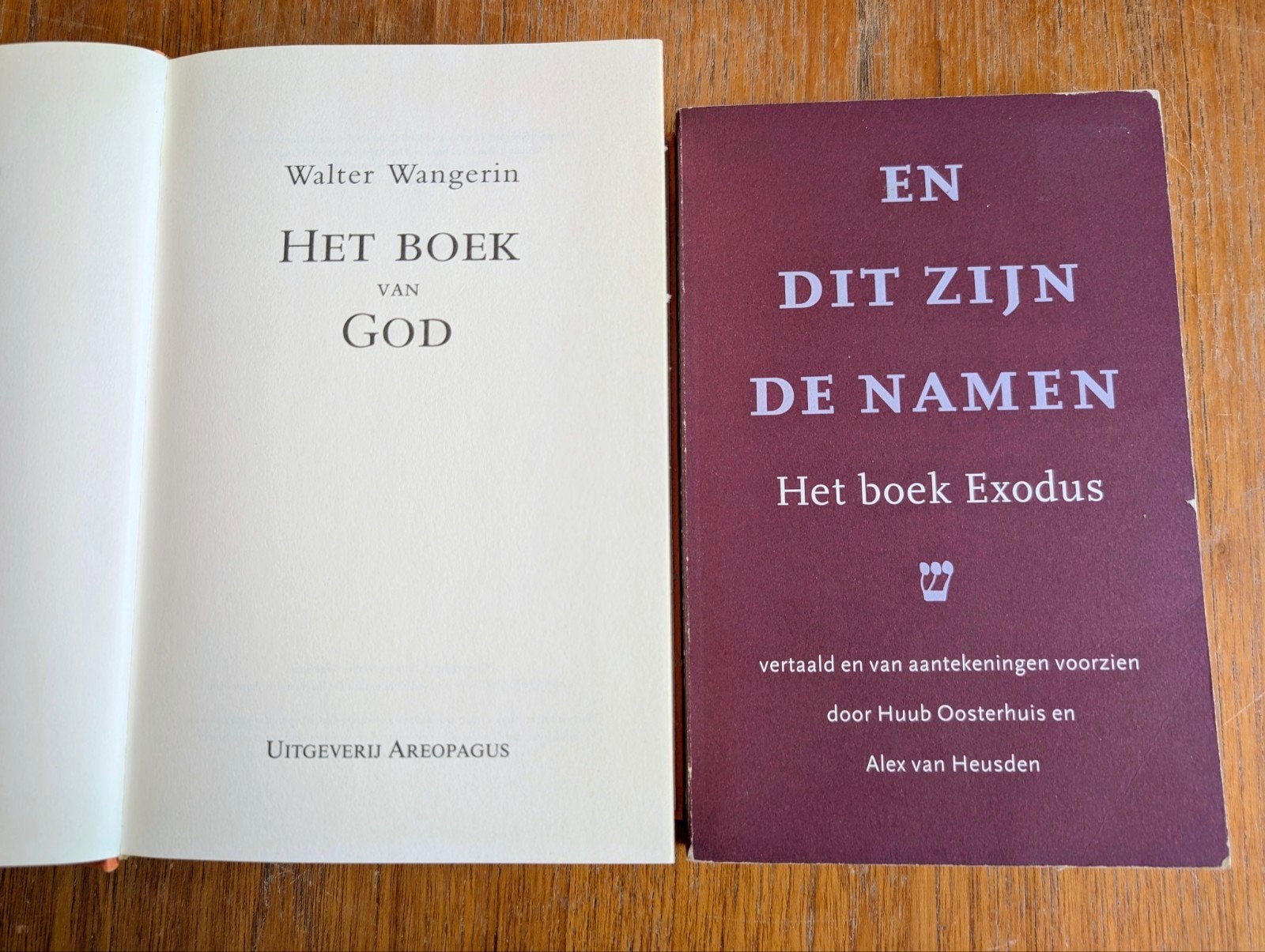 En dit zijn de namen, Boeken, Godsdienst en Theologie, Ophalen of Verzenden