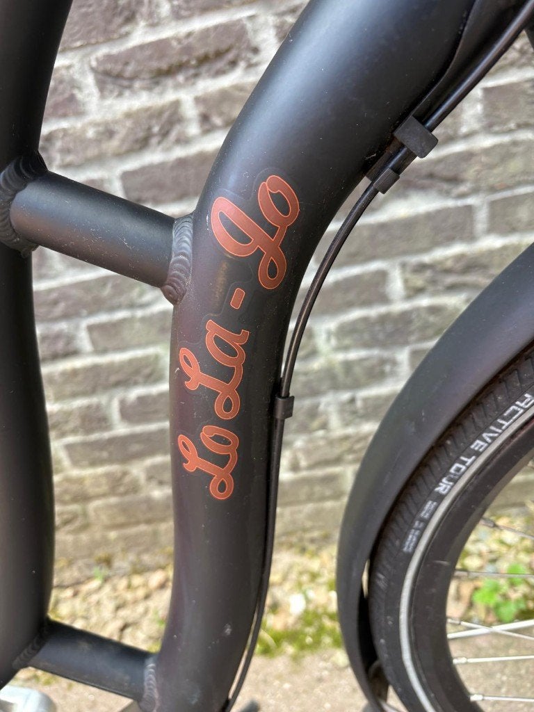 50cm Frame Sparta Lola Jo fiets, Ophalen, Terugtraprem, Sparta, Gebruikt