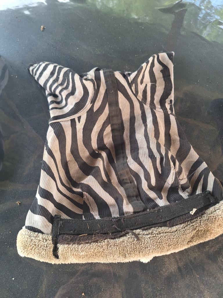 Vliegenmaskers, Dieren en Toebehoren, Ophalen of Verzenden