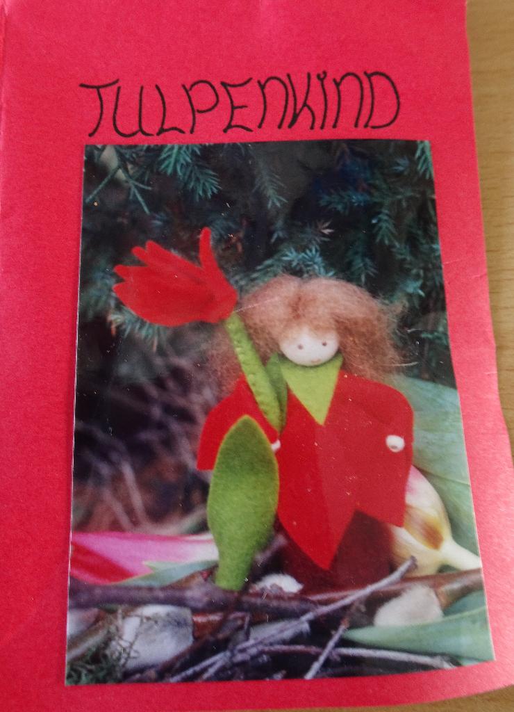 Viltpakket Tulpenkind - Poppedijn (1997), Ophalen of Verzenden, Nieuw, Boek of Patroon, Wolvilt