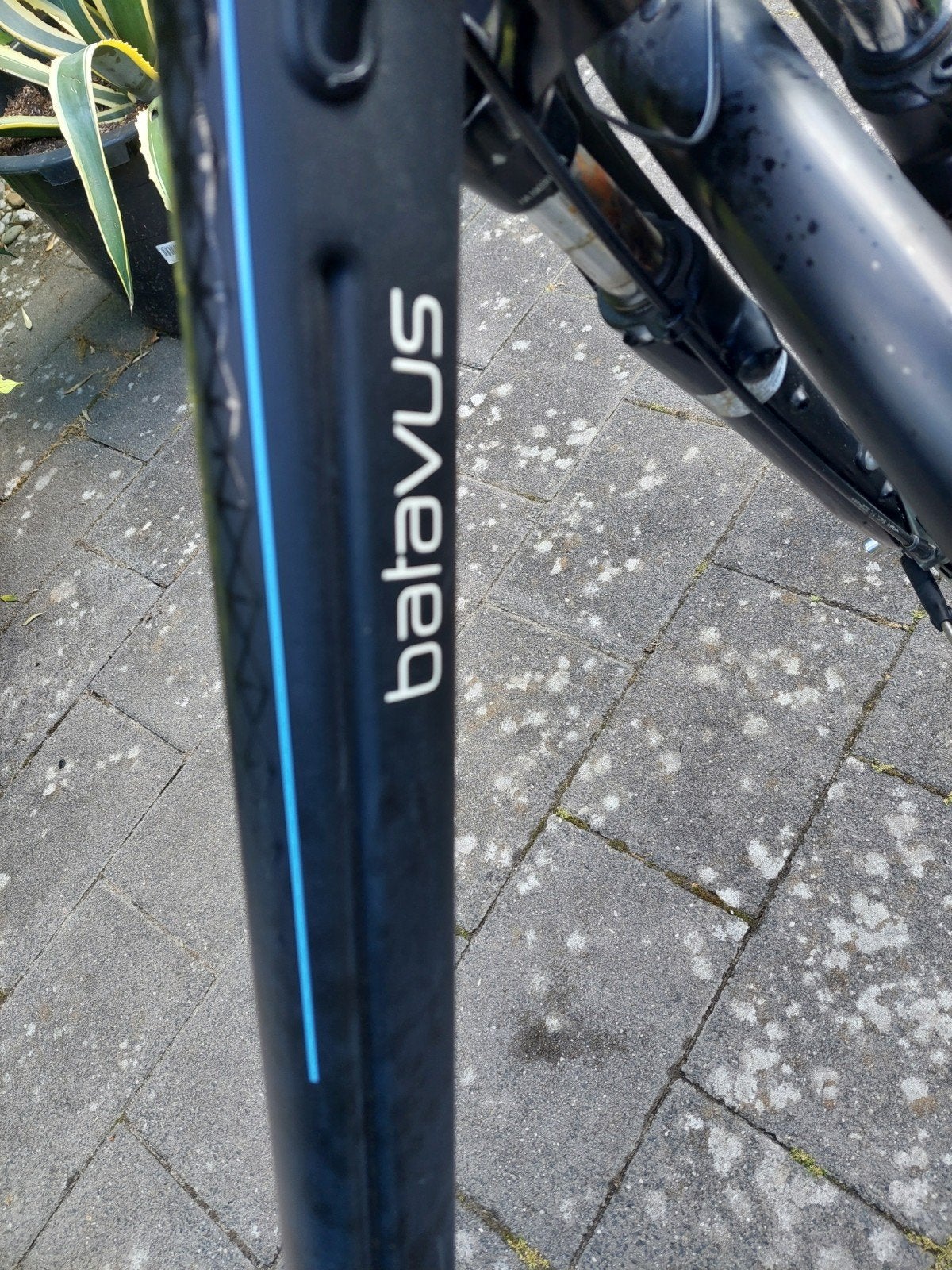 Batavus Wayz E-go elektrische fiets met fietstassen, Ophalen of Verzenden