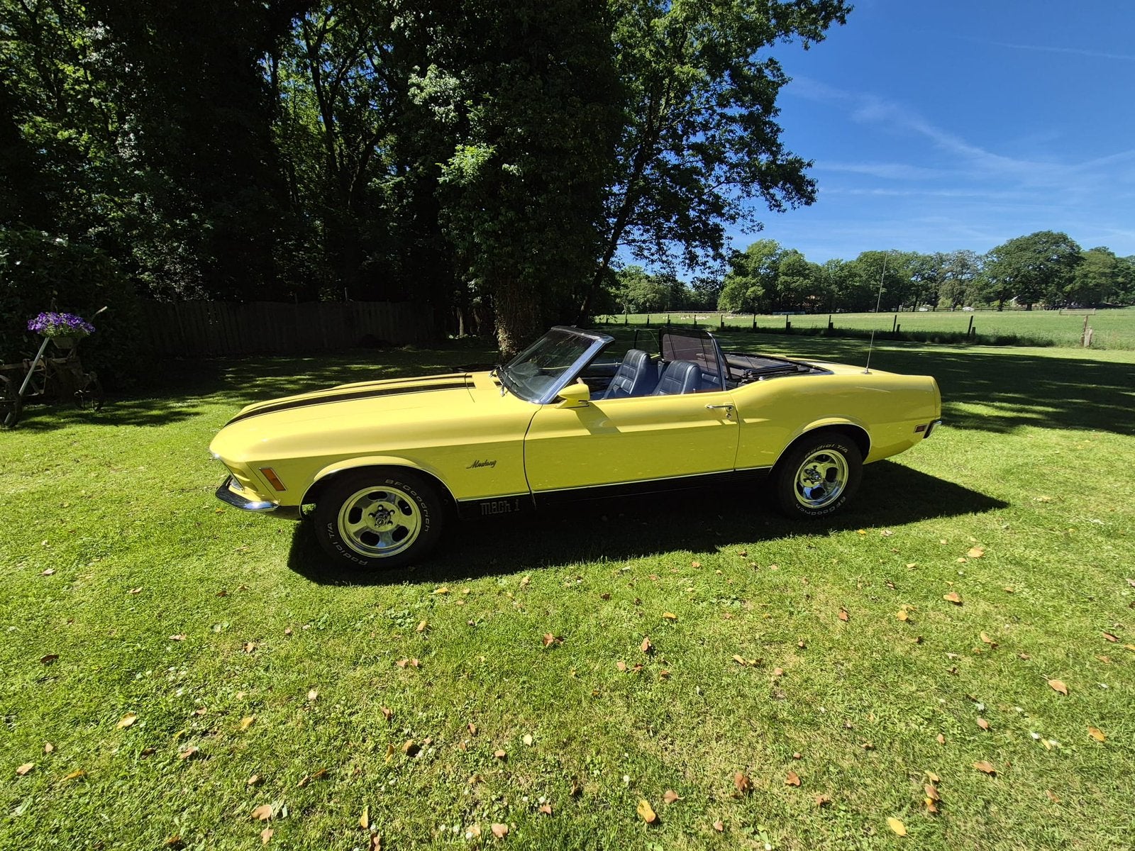 Ford Mustang Cabriolet   ORG NL, Auto's, Oldtimers, Bedrijf, Geel, Origineel Nederlands, Te koop
