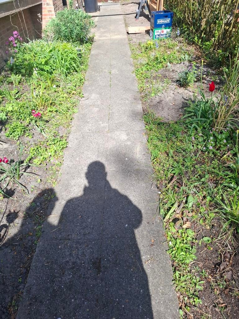 Gebruikte betontegels voor tuinpad of terras, Tuin en Terras, Ophalen, Gebruikt, 5 tot 10 m², Beton