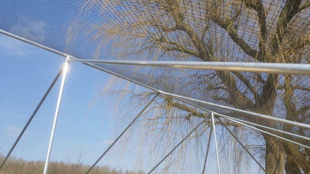 Mega volière Maasdam | Duurzame materialen | Maatwerk!, Ophalen of Verzenden, Nieuw, Metaal, Volière
