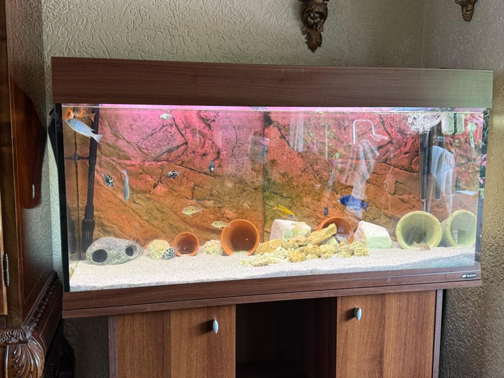 Juwel Rio 180 aquarium, Dieren en Toebehoren, Vissen | Aquaria en Toebehoren, Ophalen of Verzenden, Zo goed als nieuw, Leeg aquarium