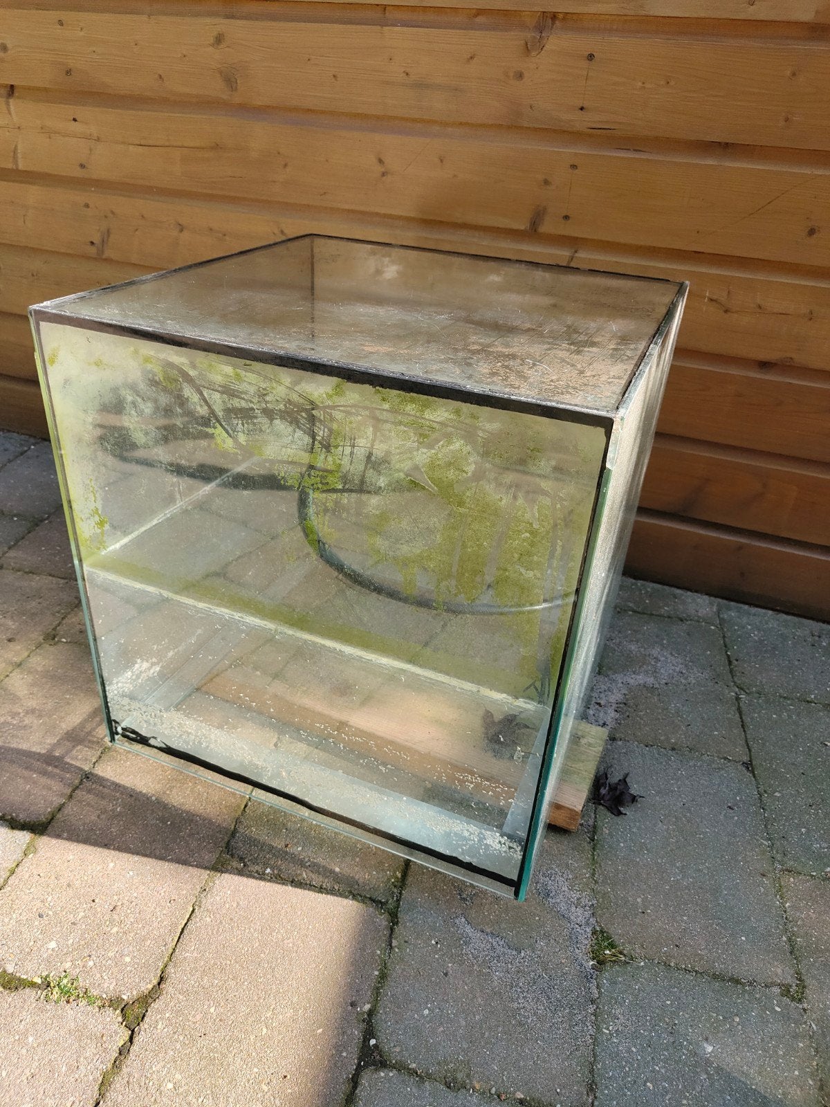 Aquarium 50x50, Ophalen, Gebruikt, Leeg aquarium