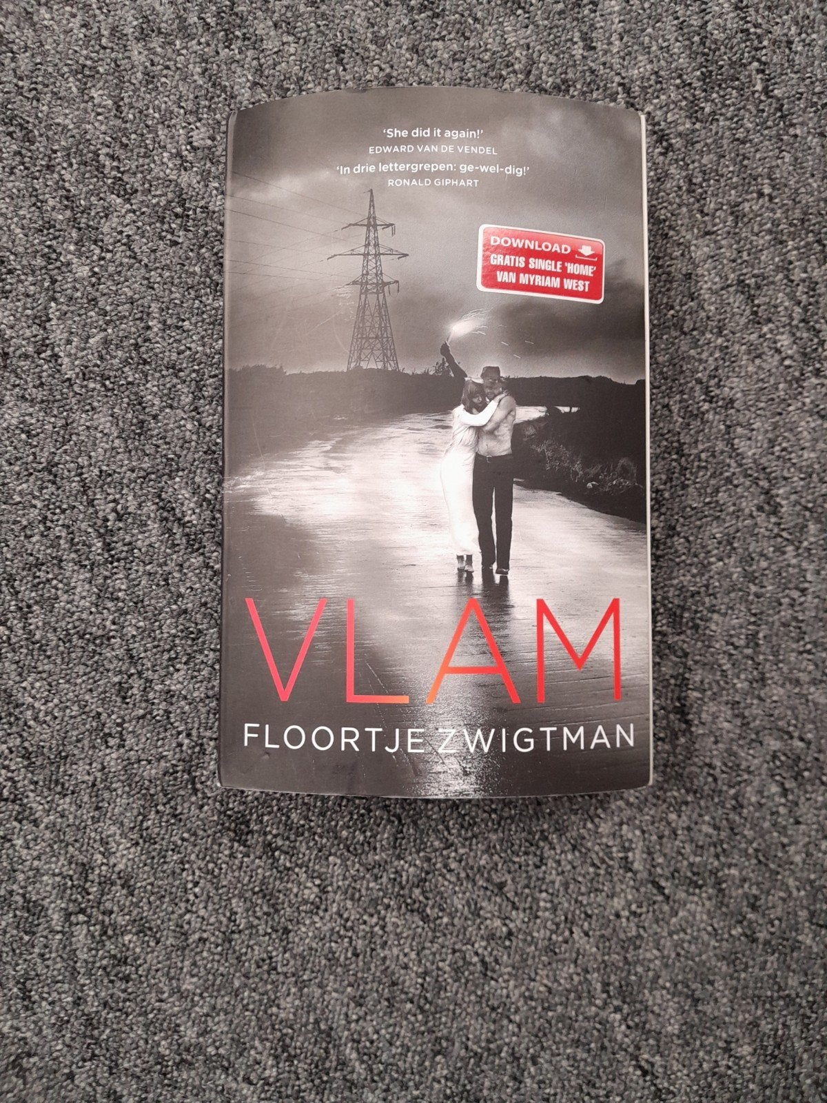 boek  Vlam, Ophalen of Verzenden, Zo goed als nieuw, Floortje Zwichtman